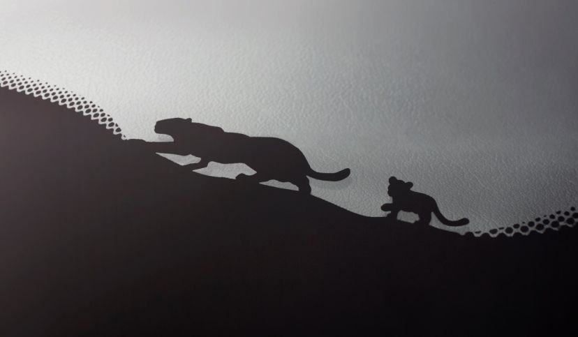 捷豹E-Pace试驾:Hello Kitty的外衣下仍是“雄心豹子胆”|聚驾