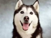 五万公里后，七万的帝豪EC7是惊喜还是惊吓？｜聚驾