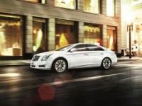 燃起来，才能在薄情世界深情地活着