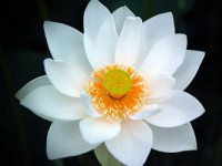 过去一年，女神们都干了哪些糗事？丨聚扯