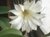 美媒评出七大最不受待见车型，这品牌独占三款？｜聚评