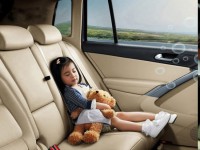 中国车主最爱抱怨新车车内气味！