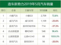 快报！5月新势力总销量5229辆，小鹏占比过半夺冠 | 聚闻