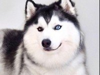 不懂就问：该不该给汽车部件装保护套？这里的门道有很多｜聚问