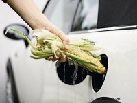 慌！2020年底乙醇汽油将全面覆盖，电动化进程或被加快？| 聚侃