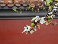 1月SUV销量：跌幅14%，前十中7款增长 H6险被CS75超越｜聚数