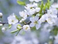 5月销量快报：年内首次正增长！主流车企普遍迎涨 | 聚数