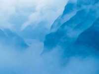 冷眼看比亚迪DM-i混动系统，一只闯进瓷器店的公牛？｜聚技