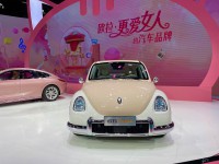 实拍欧拉芭蕾猫：看它如何用精致复古风来爱女人？| 视频