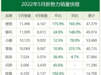 快报！5月新势力销量：“理哪小零”过万 成新一线阵营｜聚数