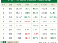 12月造车新势力销量：理想月销首破2万 零跑哪吒表现意外 | 聚数